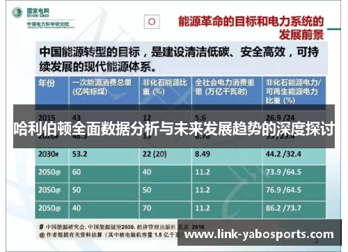 哈利伯顿全面数据分析与未来发展趋势的深度探讨